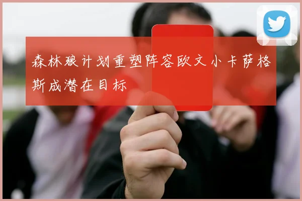 森林狼计划重塑阵容欧文小卡萨格斯成潜在目标